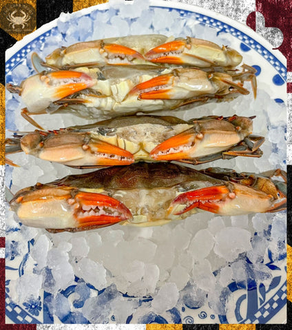 ⚓ (3) MD Soft-Shell Whale Crabs, 5 ½" +