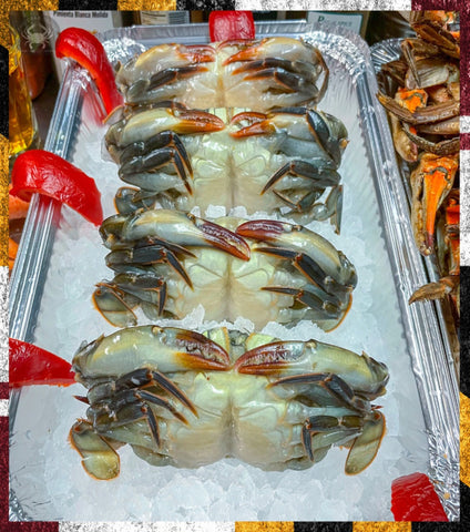 👔 (12) Blue Crab Soft-Shell Whales (5½" +)