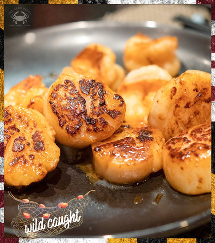 ⚓5 lbs. USA Wild-Caught Scallops, {10-20 ct.}