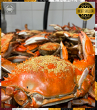 ✨Captain's JUMBO Dozen, 6"-7"