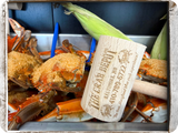 🦩 (24) JUMBO Male & Female Blue Crab Mix
