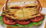 (12) JUMBO Corn Flour Dusted Soft Shells