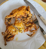 (6) Whale Soft Shells, 6"