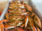 Captain's Jumbo Dozen {Mix of Large/X-Large}