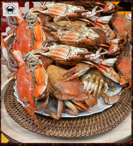 "Fat Crab" Female Sook JUMBO Half Bushel