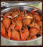 🆕 Jimmy Maryland Male "Fat Crab Dozen"