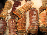 Holiday Lobster Tail Package - (6) 6-7 oz Warm Water Lobster Tails